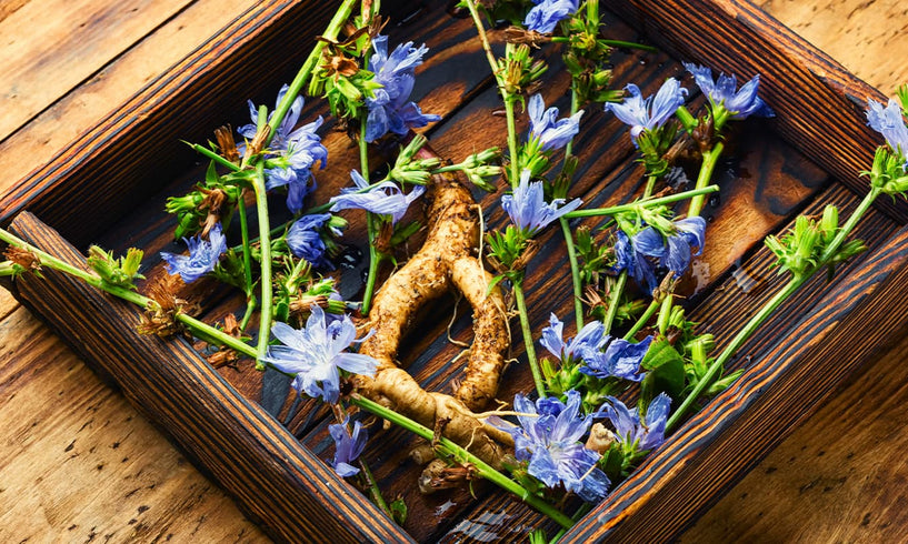 Get to know the benefits of Inulin for skin image