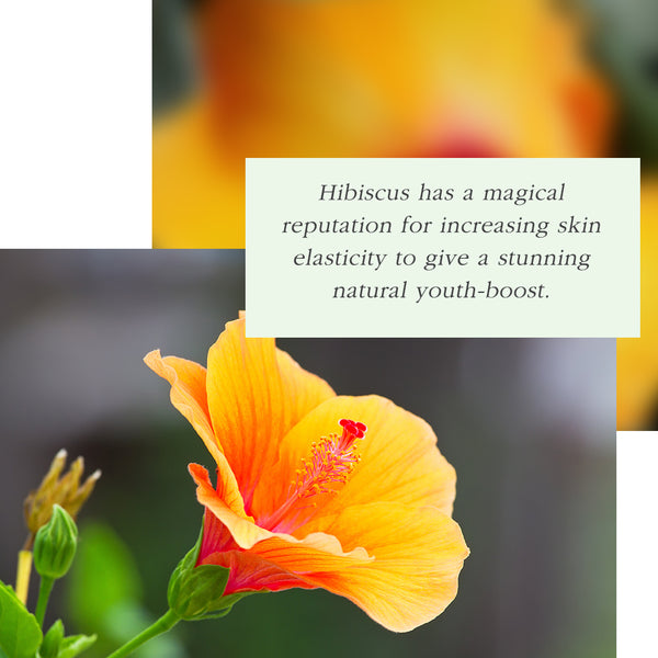 hibiscus flower benefits
