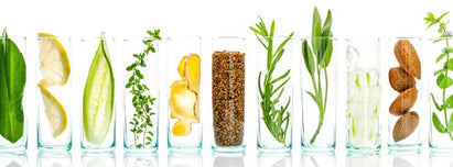 plant based skincare