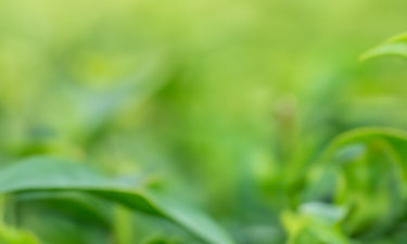 Men’s skin care for acne image