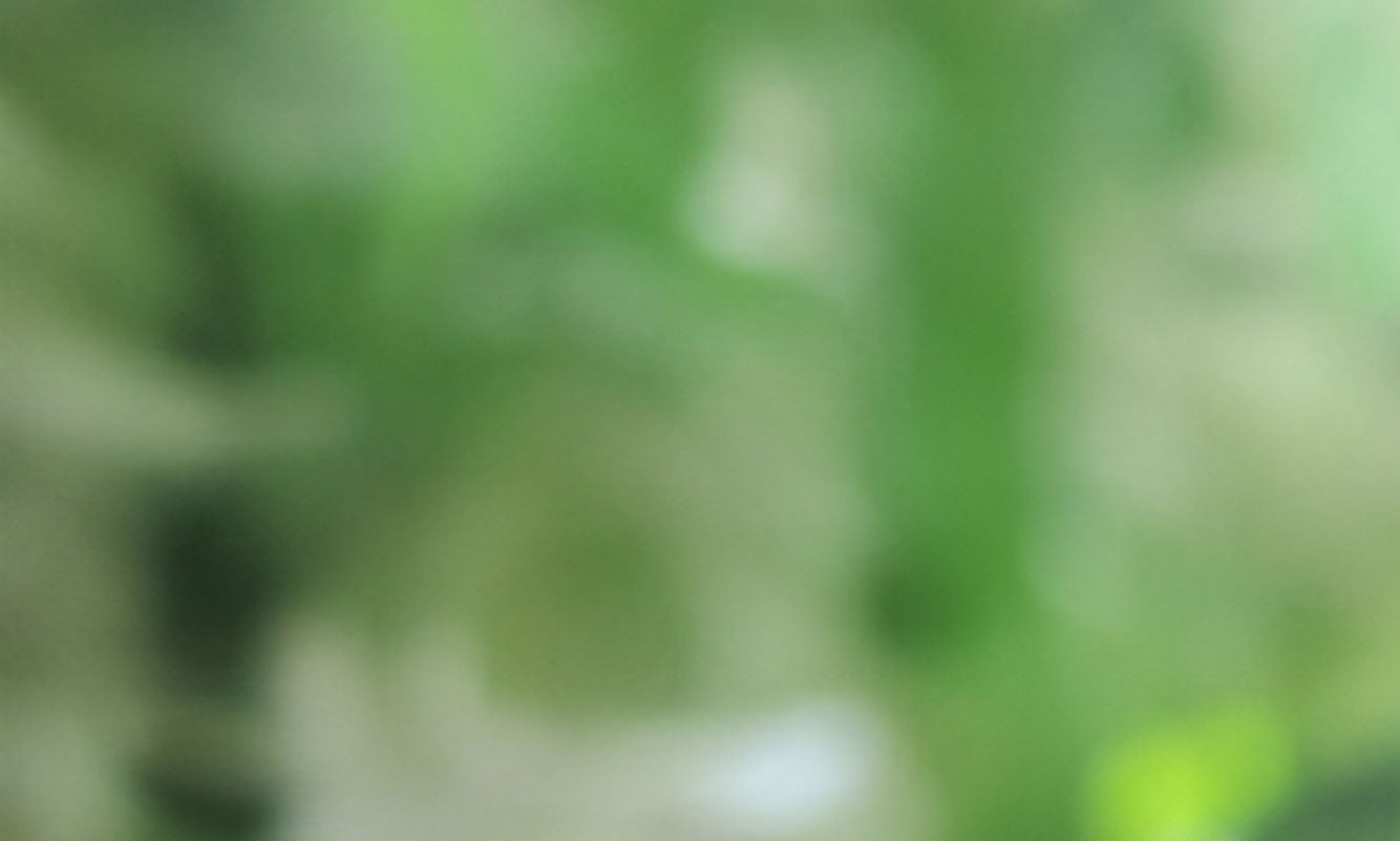 Natural shaving gel for men image