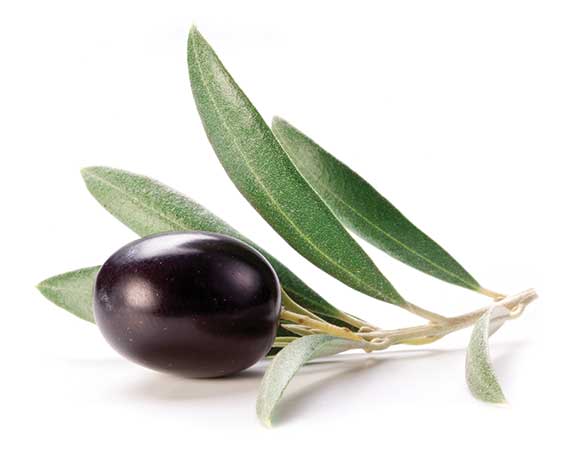 What goes into your organic toothpaste