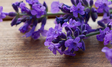 Organic kids’ shampoos and conditioners image