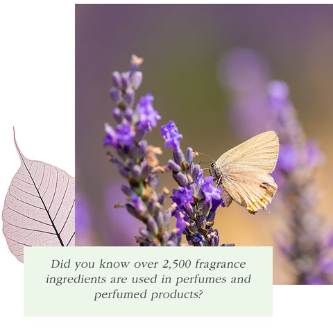 perfume allergy ingredients