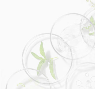 Ingredients Glossary image