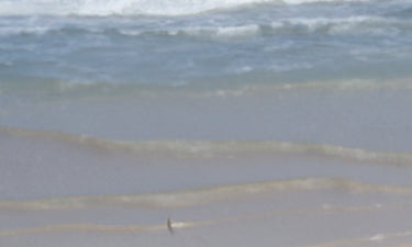 Summer holiday shop image