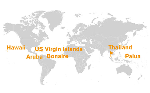 Your guide to ocean-friendly sunscreen