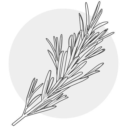ROSEMARY EXTRACT