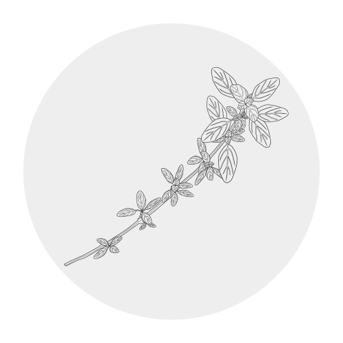 THYME OIL